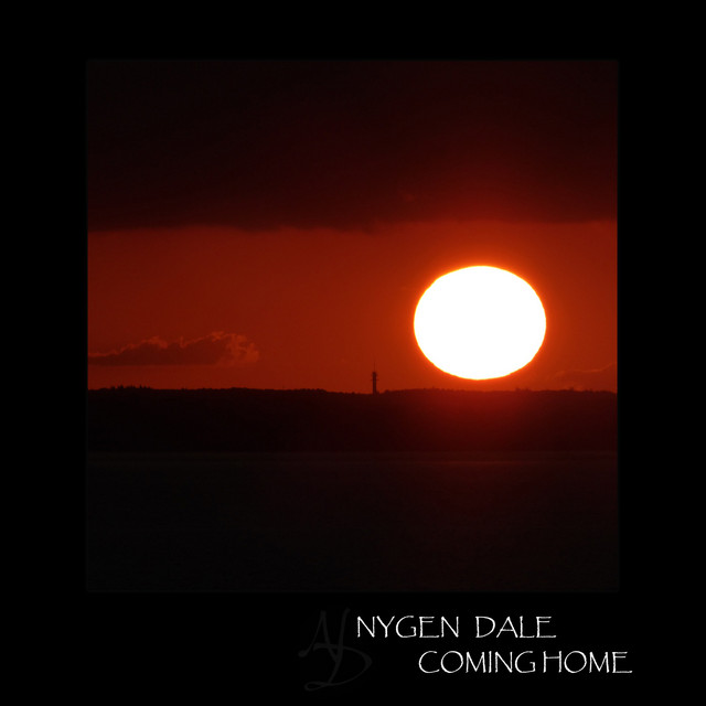 Coming Home cover
