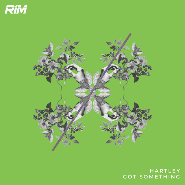 Обкладинка Hartley (UK) — Got Something