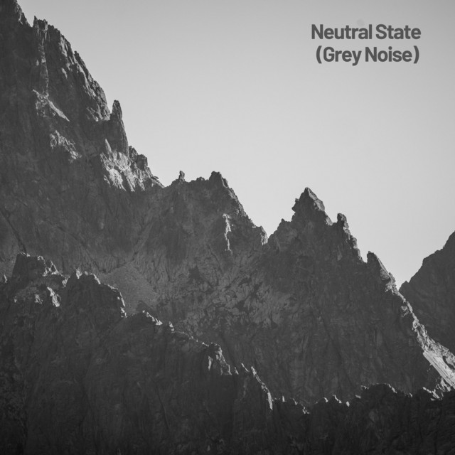 Cover of Neutral State (Grey Noise) by StyccO