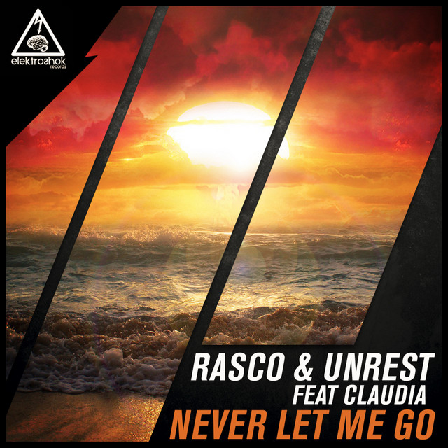 Never Let Me Go album art