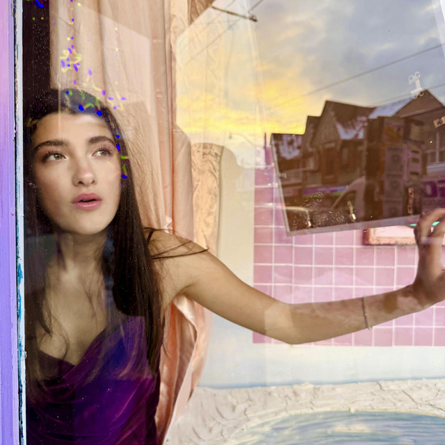 Window Shopping cover