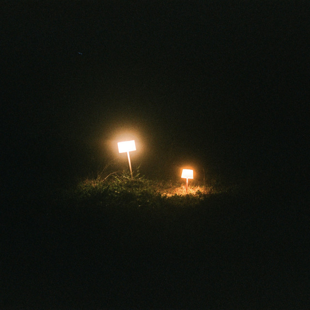 in lampshade cover art