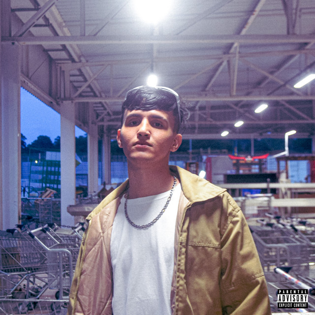XXV (Final) cover art