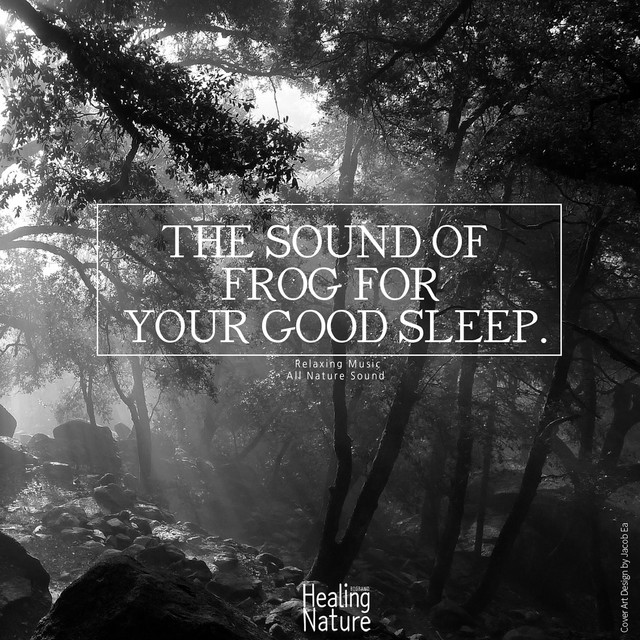 The Sound of Frog for Your Good Sleep(Relaxation,Insomnia,Deep Sleep,Meditation,Concentration,Lullaby,Prenatal Care,Healing,Memorization) cover art