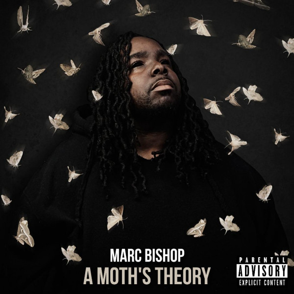 A Moth's Theory cover art