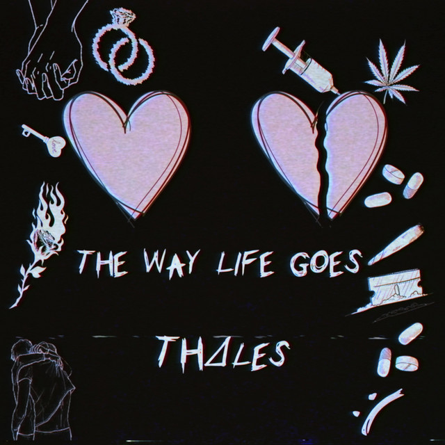 The Way Life Goes cover art
