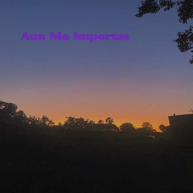 Aun Me Importas cover art