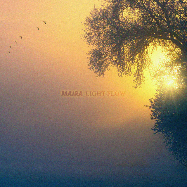 Light Flow