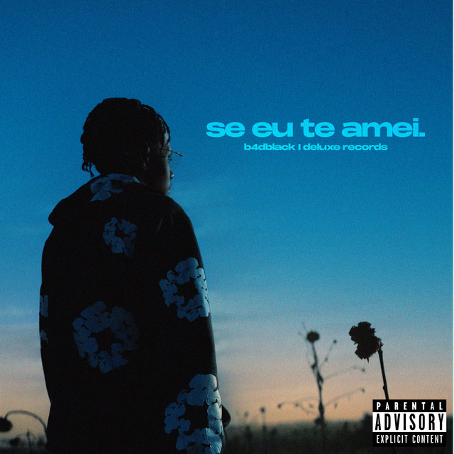 Se Eu Te Amei cover art