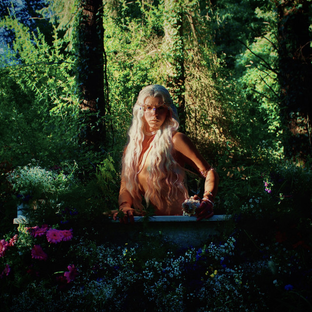 Beautiful Creatures Of The Night cover art