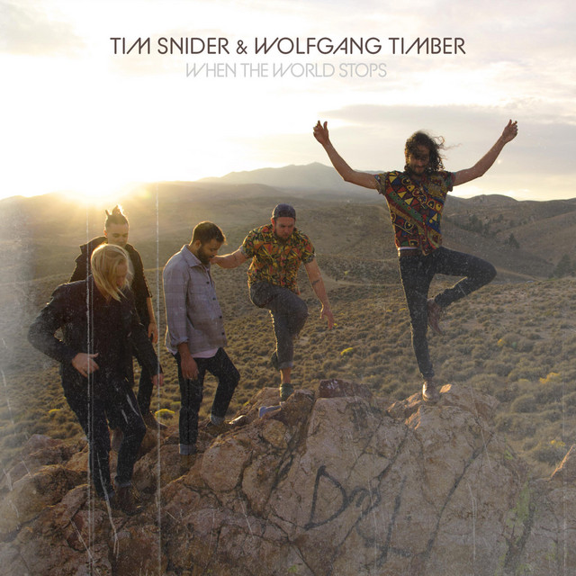 When the World Stops - Single by Tim Snider | Spotify