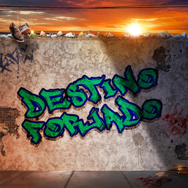 Destino Forjado cover art