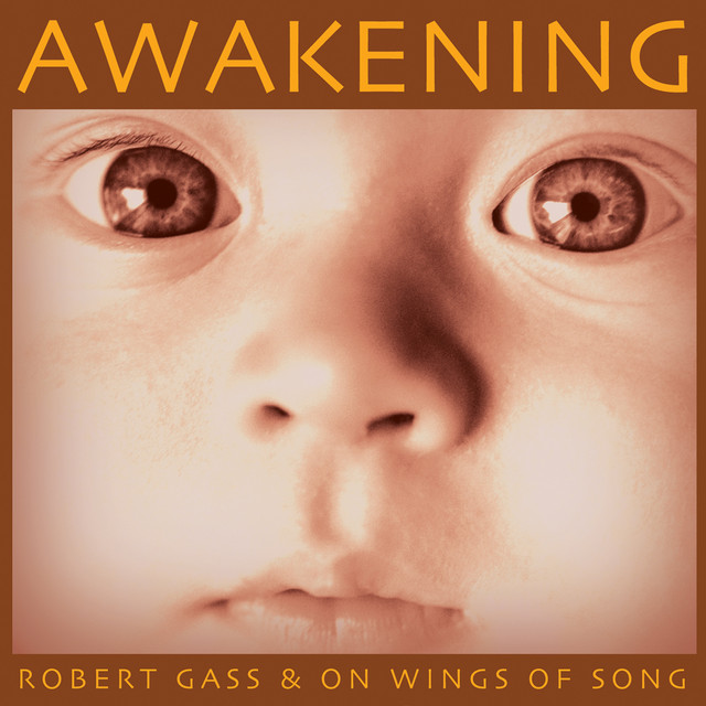 Awakening cover art