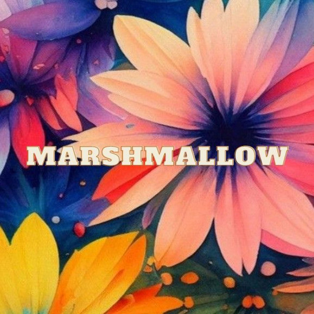 Marshmallow cover art