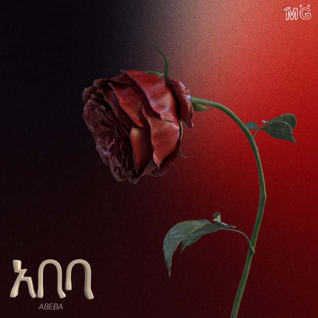 ABEBA cover art