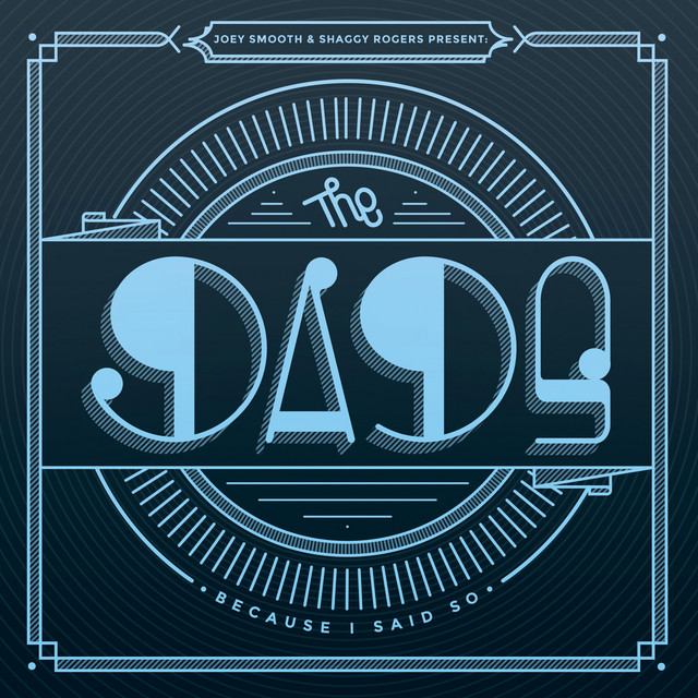 Because I Said So cover art