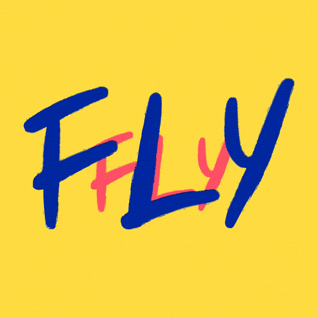 Fly cover art