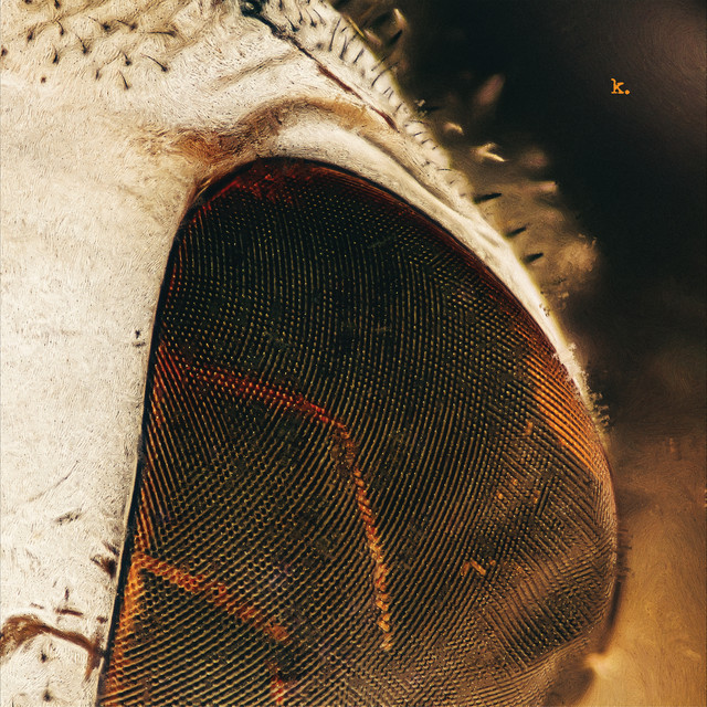 k. cover art