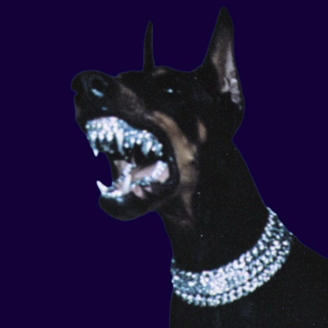 BIG DOG SHYT 2