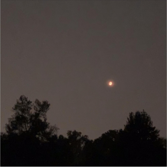 100 degrees cover art