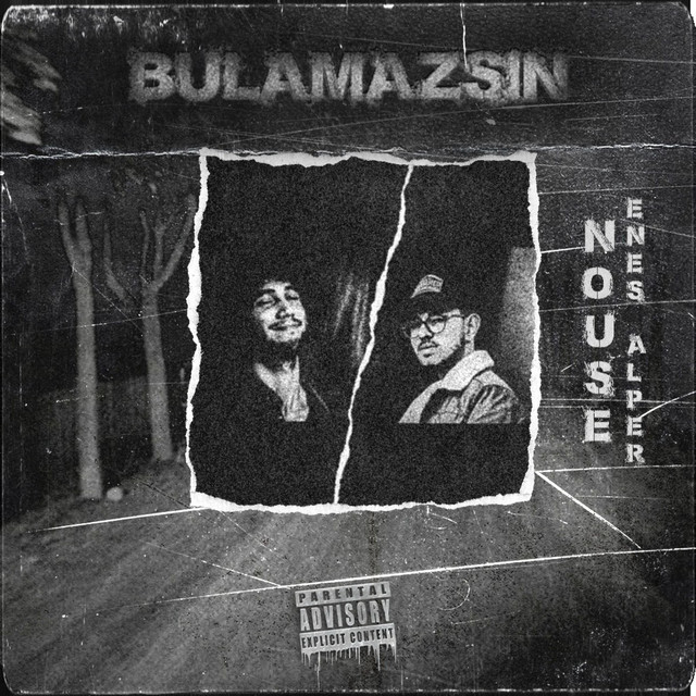 Bulamazsın cover art