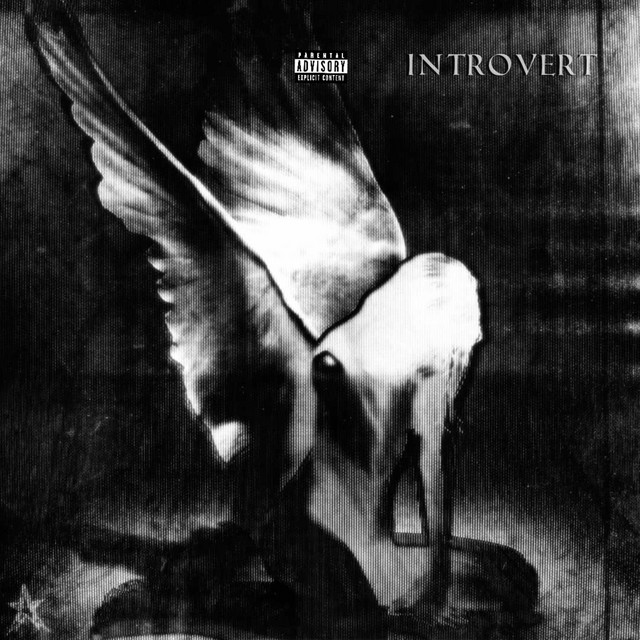 Introvert cover art