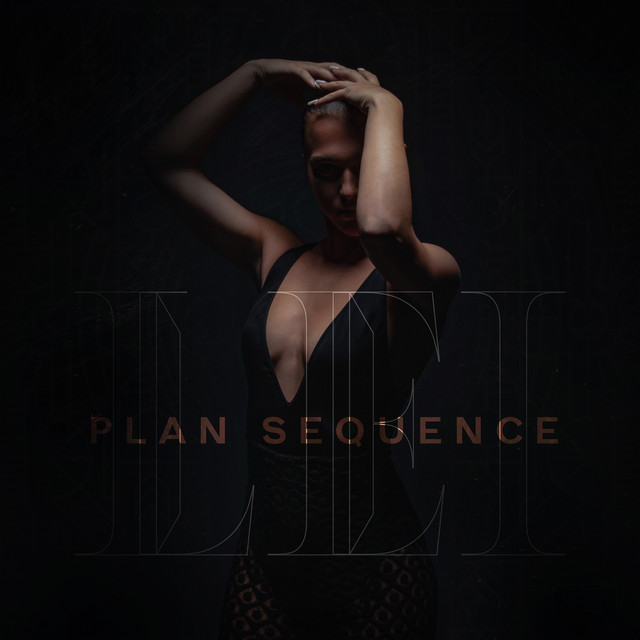 Plan séquence cover art