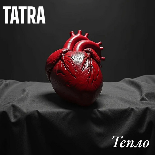 Обкладинка: Тепло — TATRA