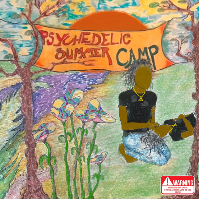 Psychedelic Summer Camp cover art