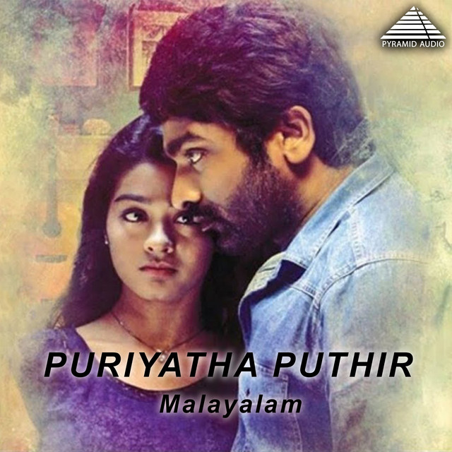 Neeyirum Manam cover art