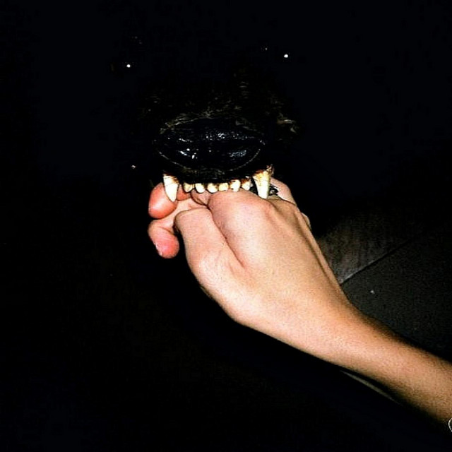 Somethin' Different cover art