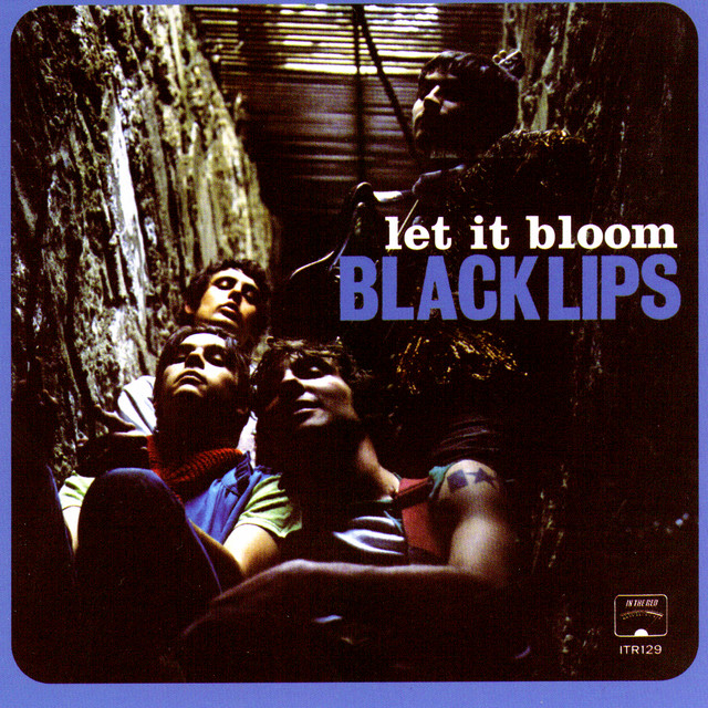 Let It Bloom cover art