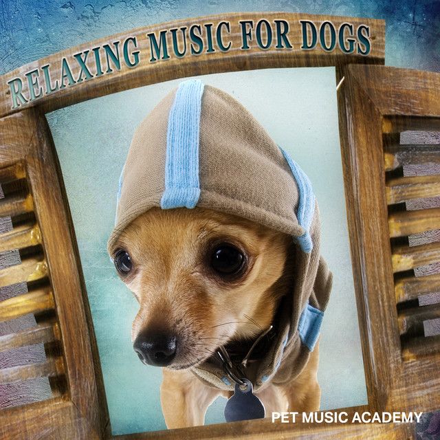 Relaxing Gentling Dogs cover art