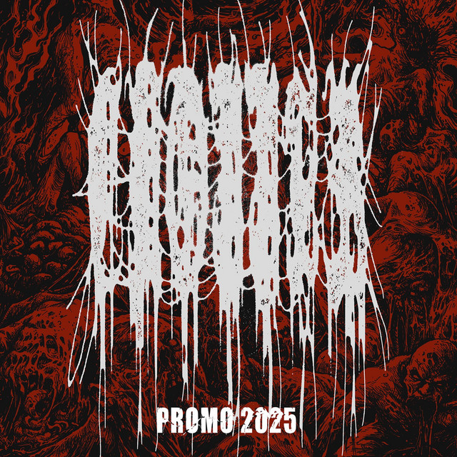 PROMO 2025 cover art