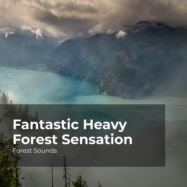 Fantastic Heavy Forest Sensation - Album by Forest Sounds | Spotify