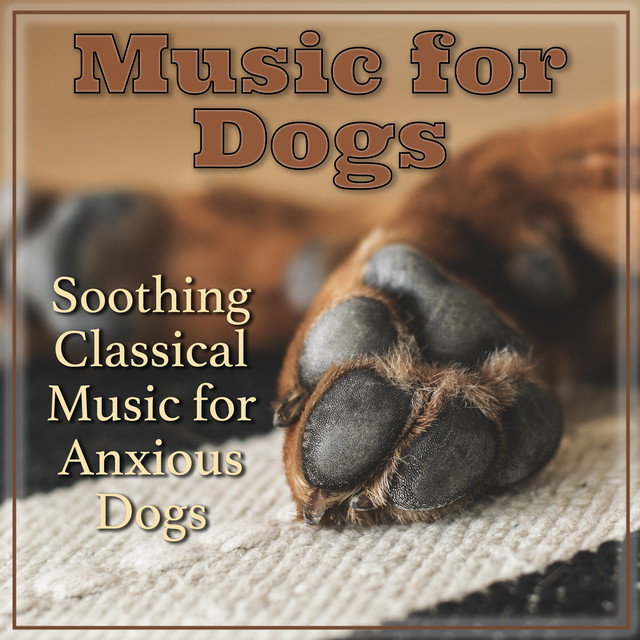 Music for Dogs: Soothing Classical Music for Anxious Dogs cover art