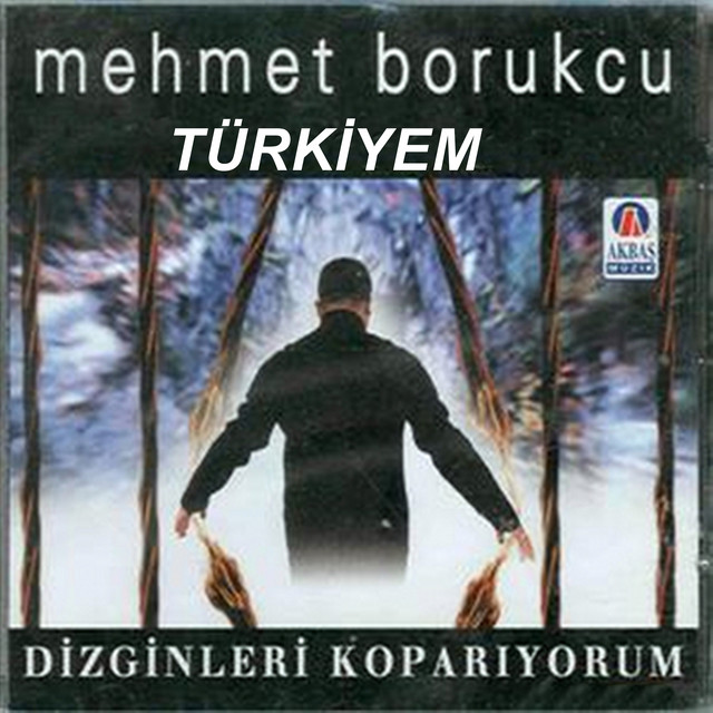Türkiyem / Dizginleri Koparıyorum cover art