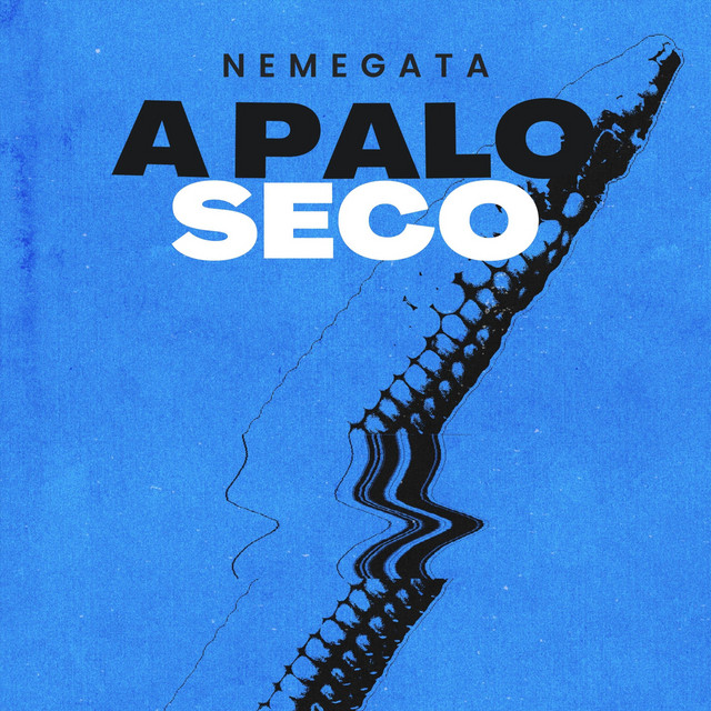 A Palo Seco cover