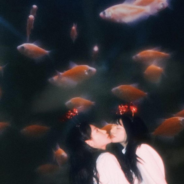 Zone cover art