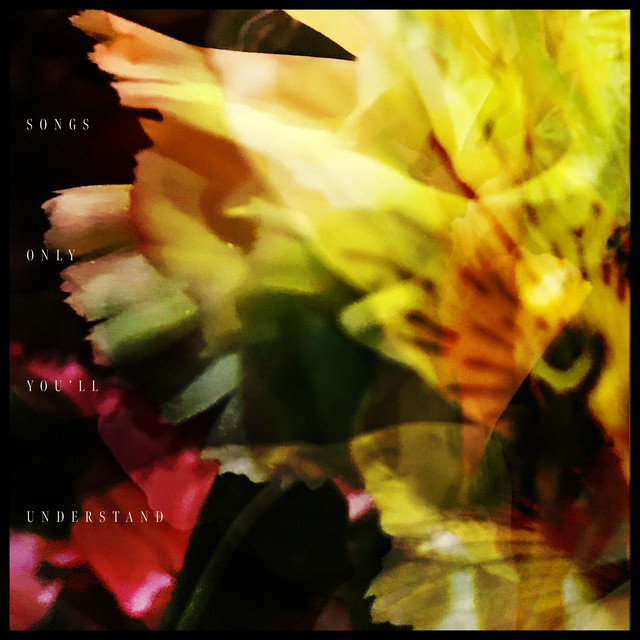 Songs Only You'll Understand cover art