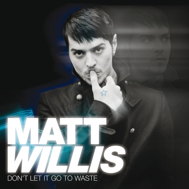 Don't Let It Go To Waste cover art