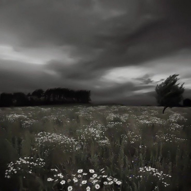 Dark Place
