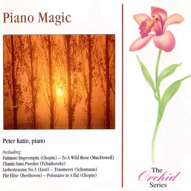 Piano Magic cover