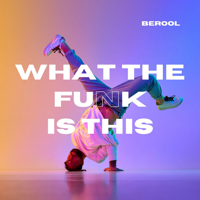 Обкладинка: What The Funk Is This — Berool