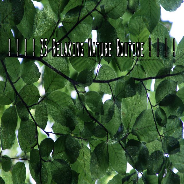 25 Relaxing Nature Routine ! ! ! ! - Album by Sounds of Nature ...