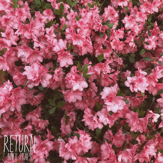 Return cover art