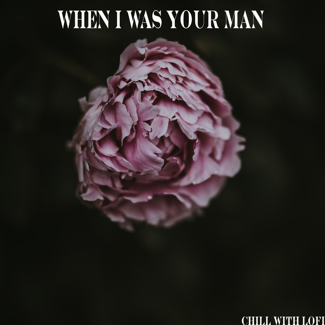 When I Was Your Man