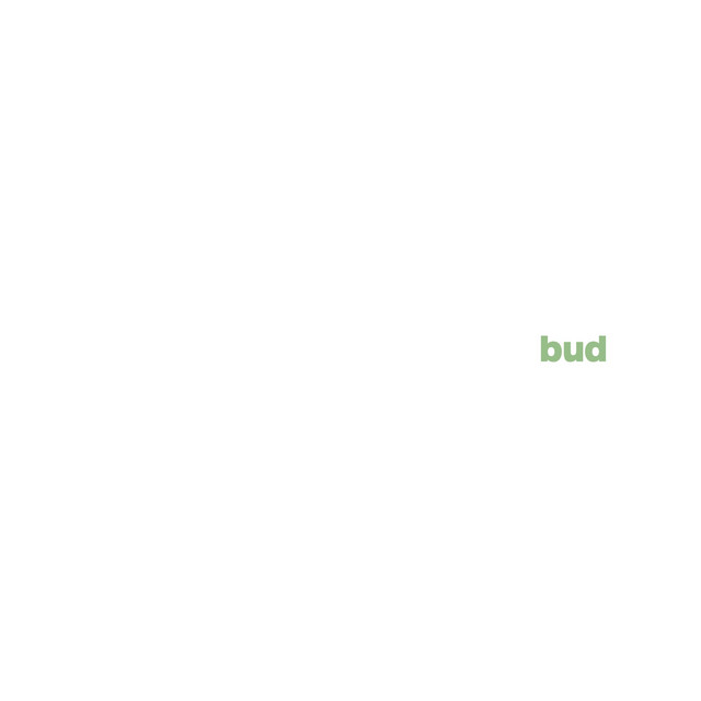 bud cover art