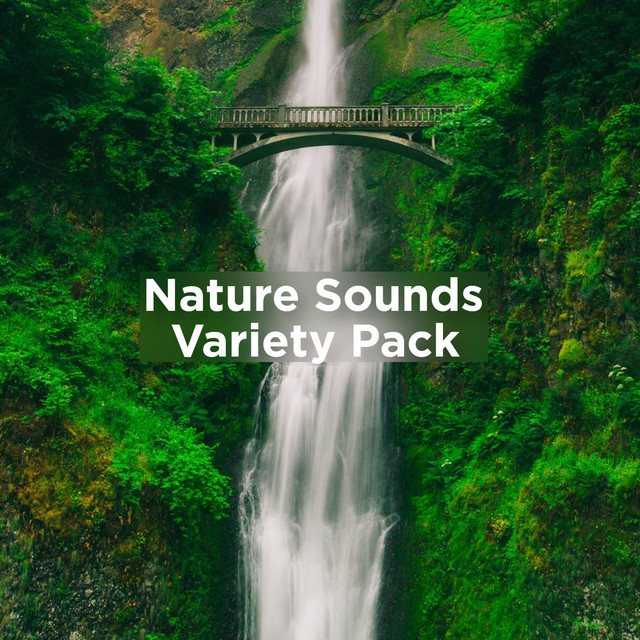 Dreamy Ocean Noise cover art