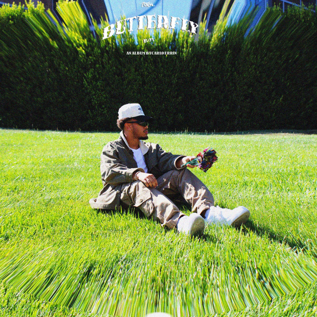 THE BUTTERFLY BOY cover art